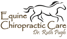 chiro.gif